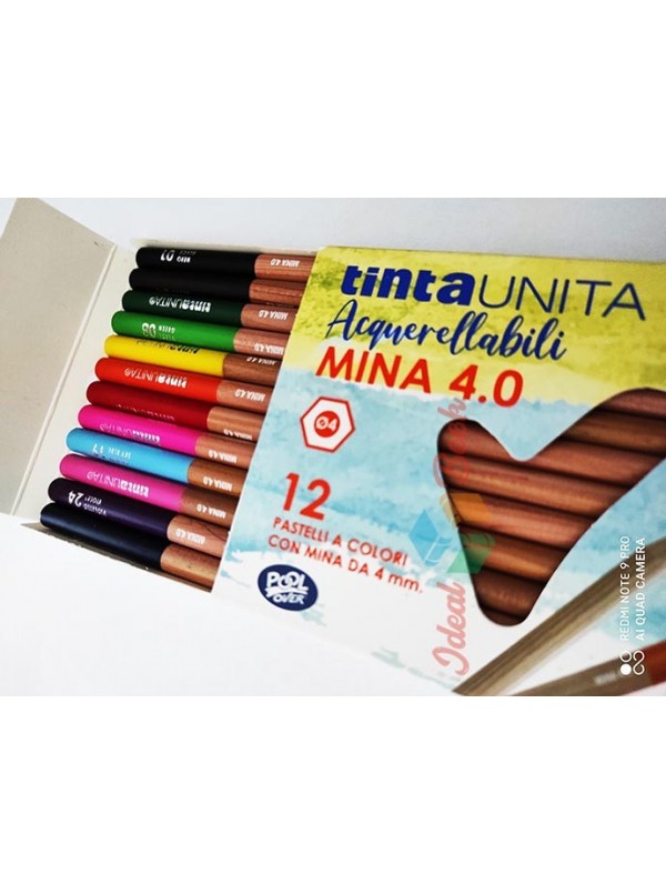 Pastelli Acquerellabili Tinta Unita 24 colori a matita legno scuola disegno