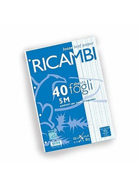 Ricambio Pool Fogli a Buchi Maxi Rinforzati 5 MM 100 Gr. -5 Confezione 40  Fogli